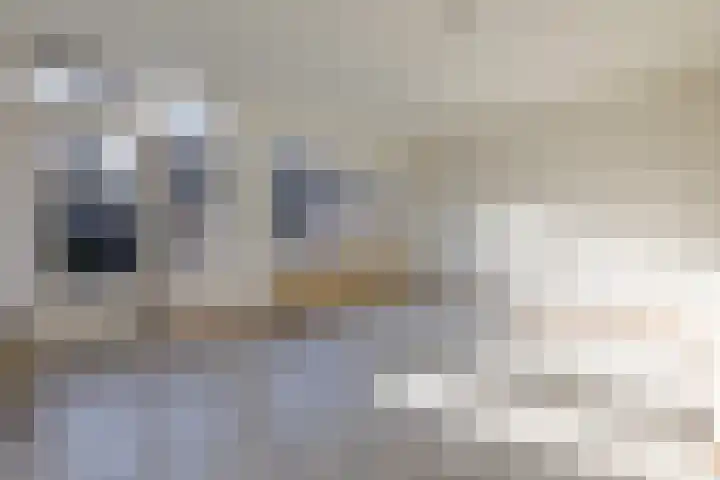 Zeskant 209 Heerlen thumbnail 6