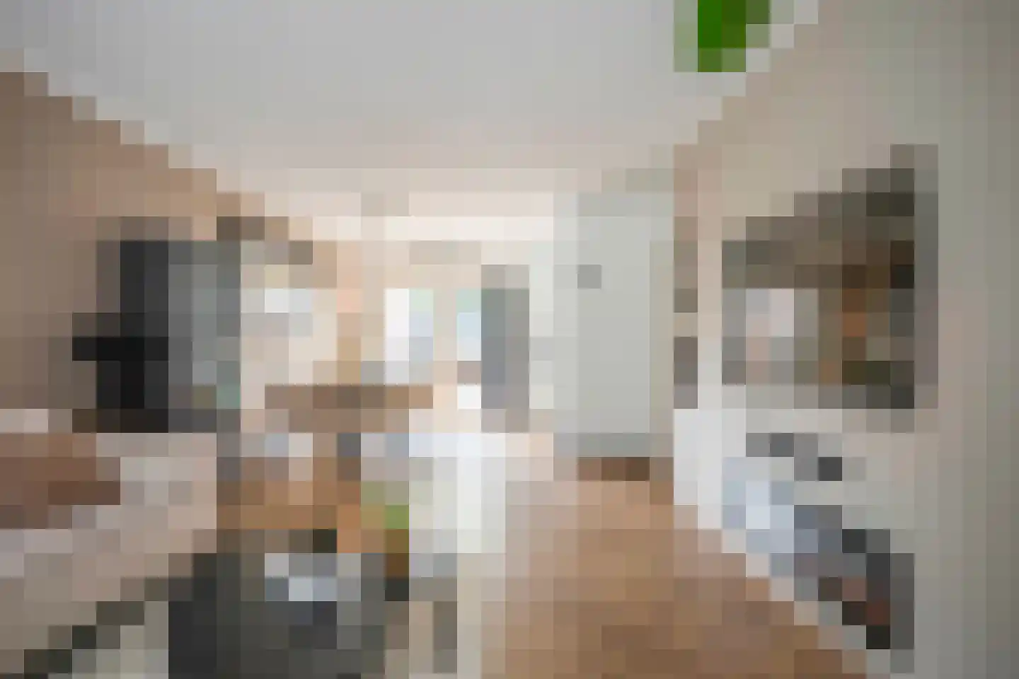 Zeskant 24 Heerlen thumbnail 6