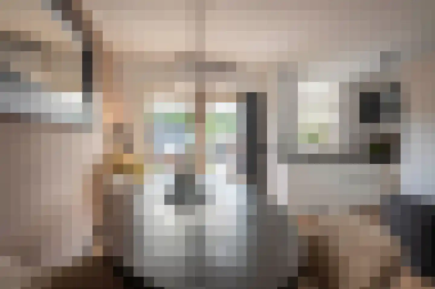 Zeskant 24 Heerlen thumbnail 9