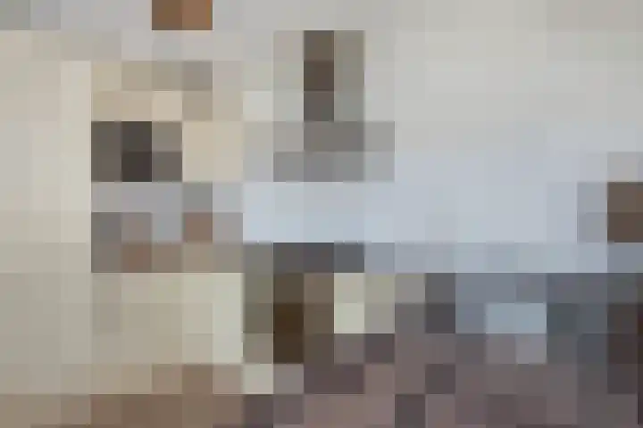 Zeskant 55 Heerlen thumbnail 23