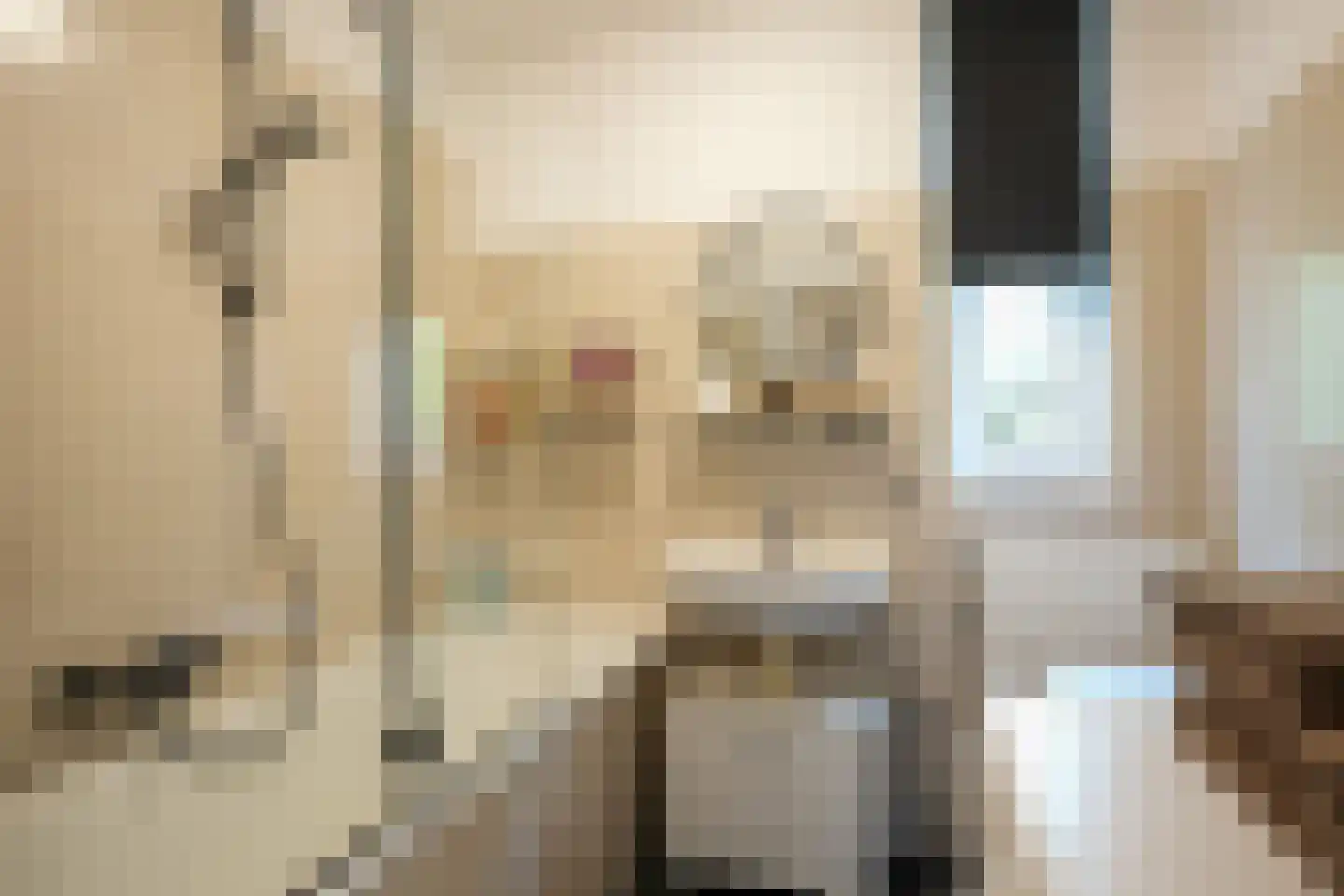 Zeskant 89 Heerlen thumbnail 12