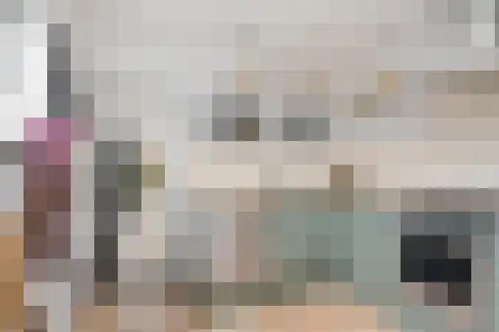 Zeskanter 10 Sneek thumbnail 11