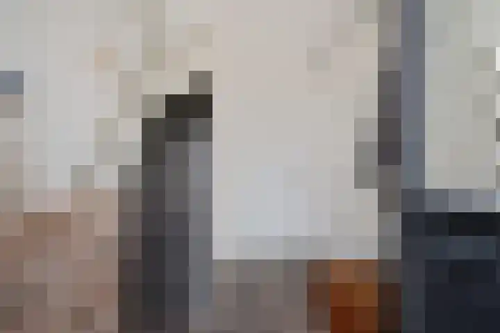 Zeskanter 10 Sneek thumbnail 15