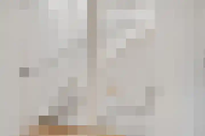 Zeskanter 10 Sneek thumbnail 16
