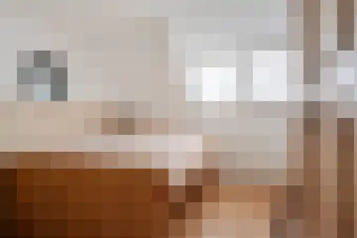 Zeskanter 10 Sneek thumbnail 17