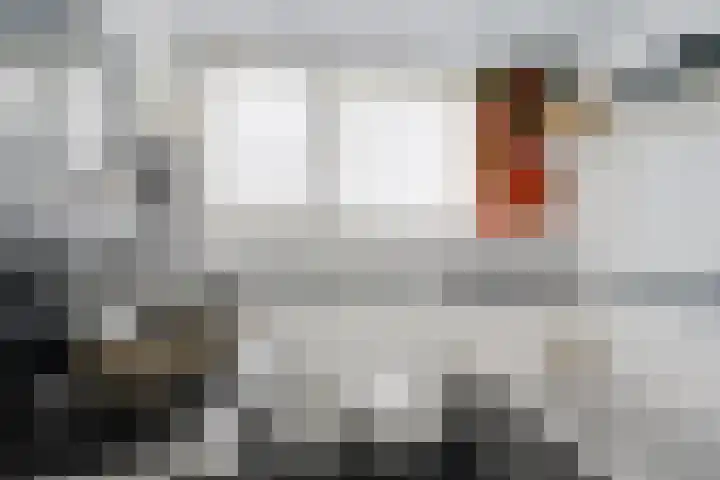 Zeskanter 10 Sneek thumbnail 19
