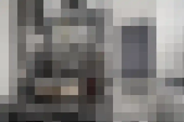Zeskanter 10 Sneek thumbnail 20