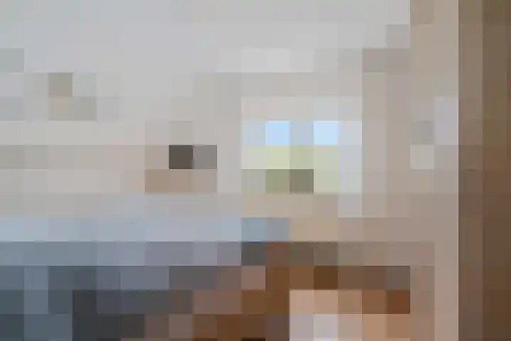 Zeskanter 10 Sneek thumbnail 21