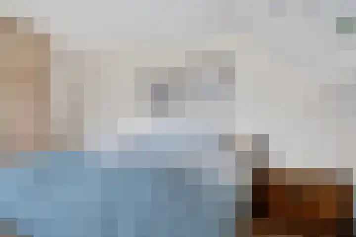 Zeskanter 10 Sneek thumbnail 22