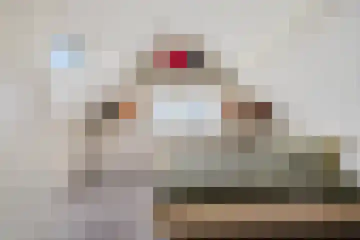Zeskanter 10 Sneek thumbnail 24