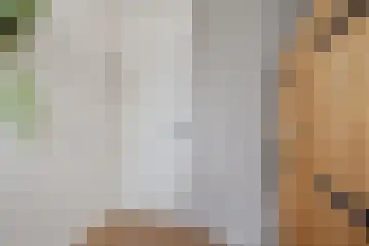 Zeskanter 10 Sneek thumbnail 28