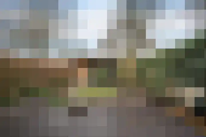 Zeskanter 10 Sneek thumbnail 29