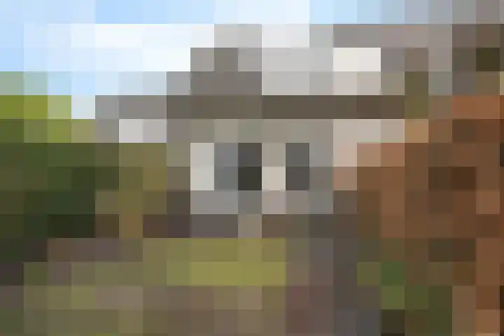 Zeskanter 10 Sneek thumbnail 31