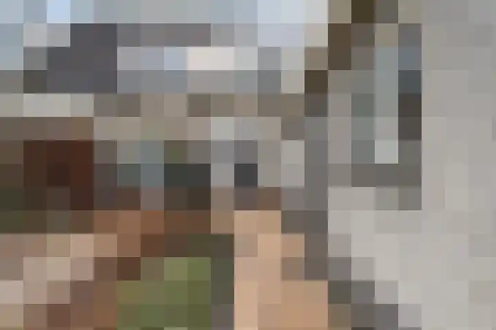 Zeskanter 10 Sneek thumbnail 34
