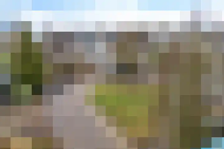 Zeskanter 10 Sneek thumbnail 38