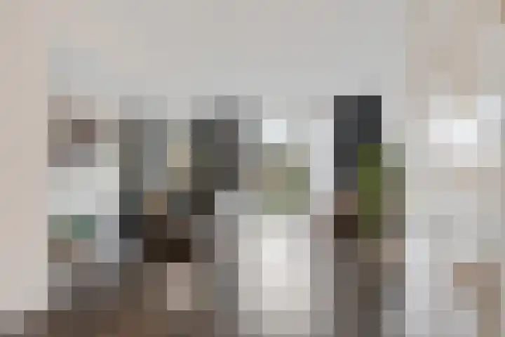 Zeskanter 10 Sneek thumbnail 4