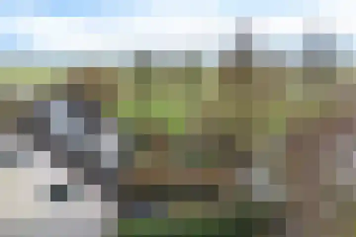 Zeskanter 10 Sneek thumbnail 40
