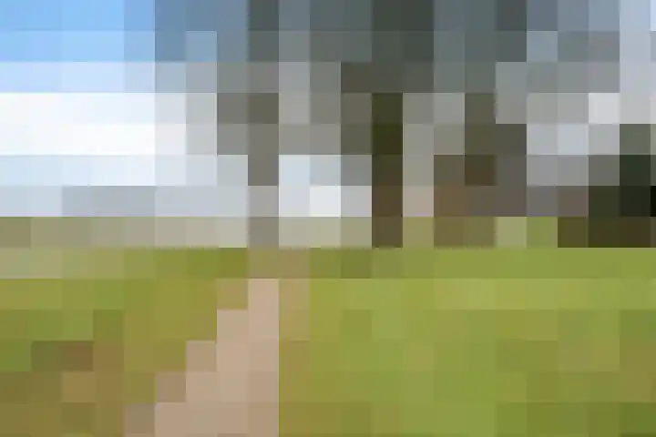 Zeskanter 10 Sneek thumbnail 41