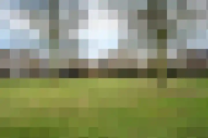 Zeskanter 10 Sneek thumbnail 42