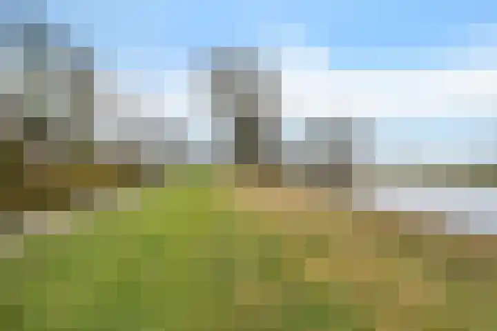 Zeskanter 10 Sneek thumbnail 43