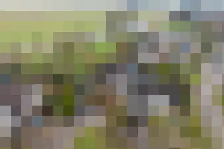 Zeskanter 10 Sneek thumbnail 44