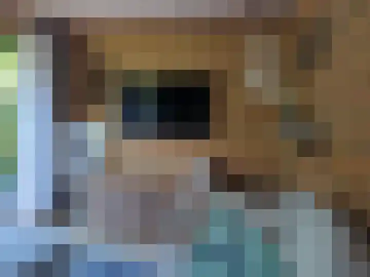 Zeskanter 10 Sneek thumbnail 48