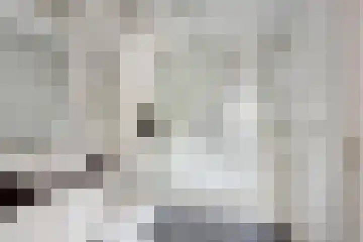 Zeskanter 11 Sneek thumbnail 16