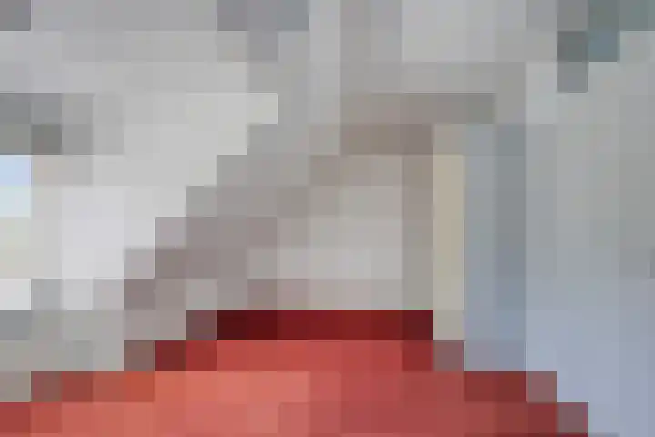 Zeskanter 11 Sneek thumbnail 17