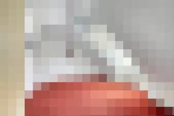 Zeskanter 11 Sneek thumbnail 18