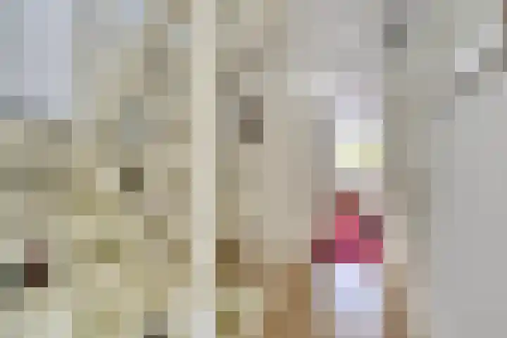 Zeskanter 11 Sneek thumbnail 19