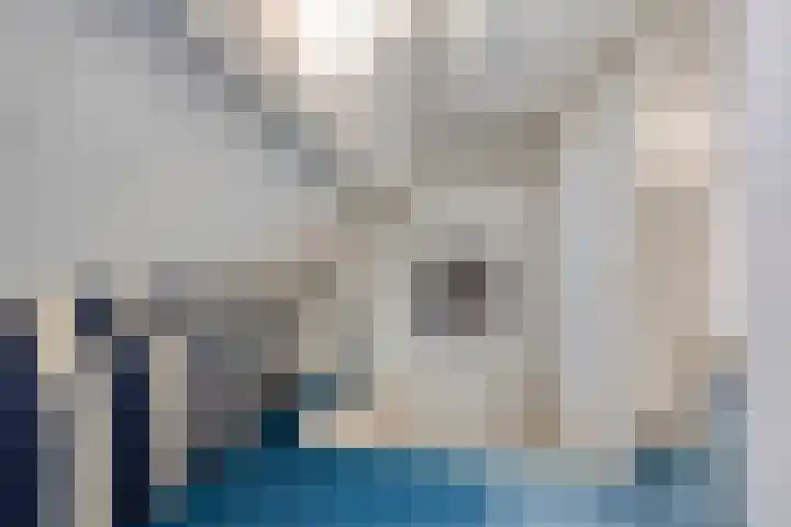 Zeskanter 11 Sneek thumbnail 20