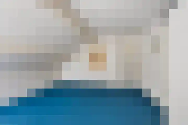 Zeskanter 11 Sneek thumbnail 21