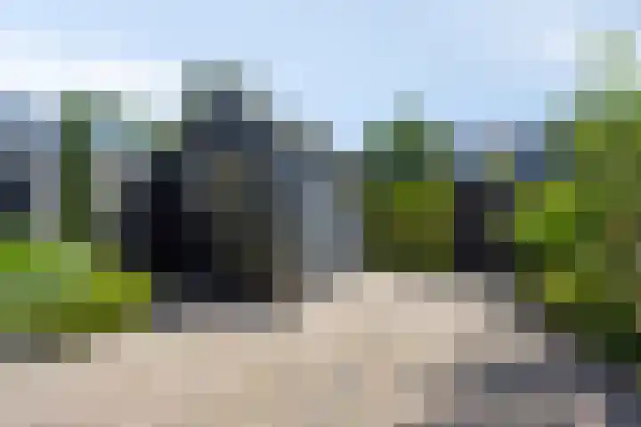 Zeskanter 11 Sneek thumbnail 23