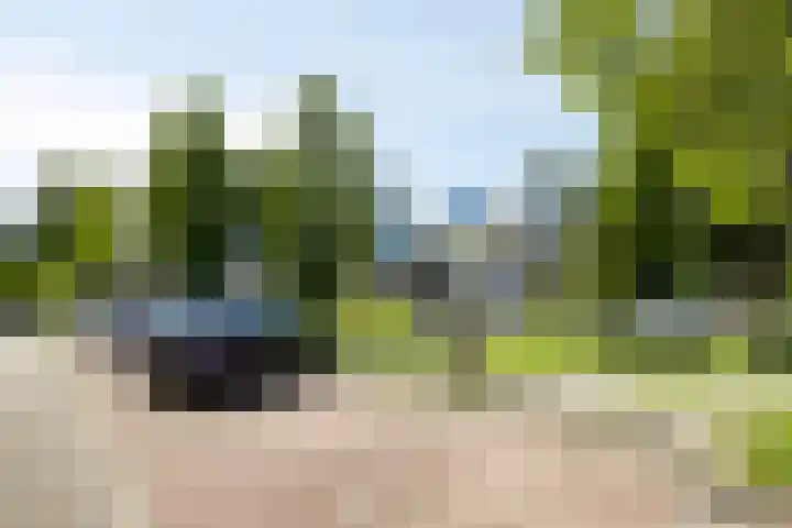 Zeskanter 11 Sneek thumbnail 24