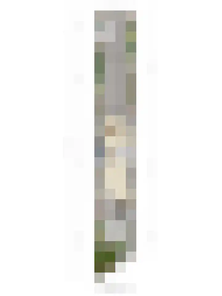 Zeskanter 11 Sneek thumbnail 26