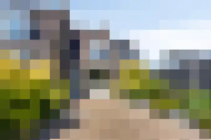 Zeskanter 11 Sneek thumbnail 4