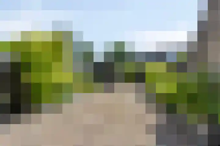 Zeskanter 11 Sneek thumbnail 5