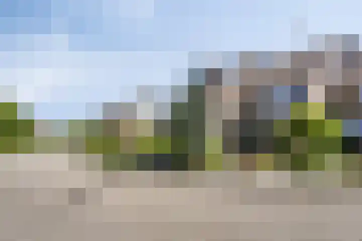 Zeskanter 11 Sneek thumbnail 7