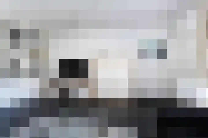 Zeskanter 11 Sneek thumbnail 9