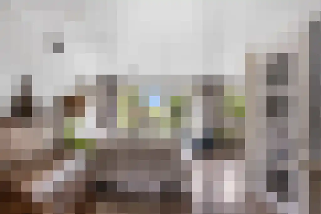 Zeskanter 16 Sneek thumbnail 12