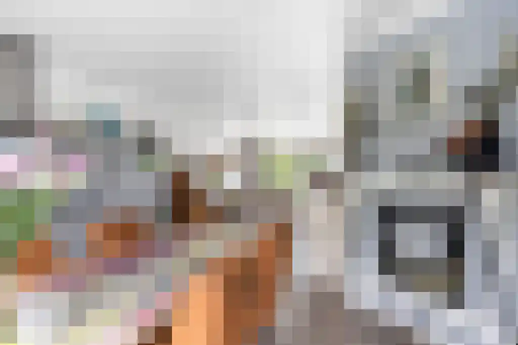 Zeskanter 16 Sneek thumbnail 15