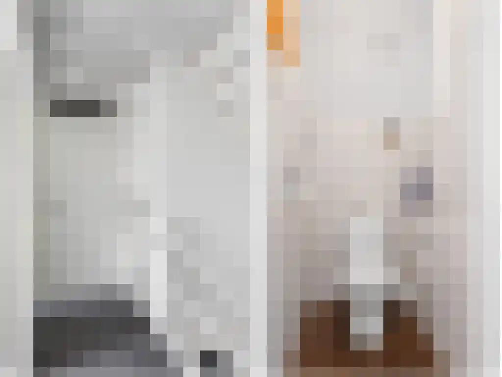 Zeskanter 16 Sneek thumbnail 30