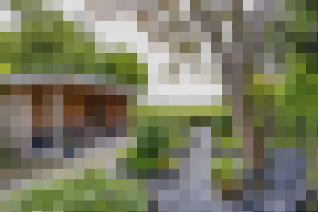 Zeskanter 16 Sneek thumbnail 4