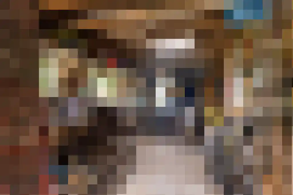 Zeskanter 16 Sneek thumbnail 41