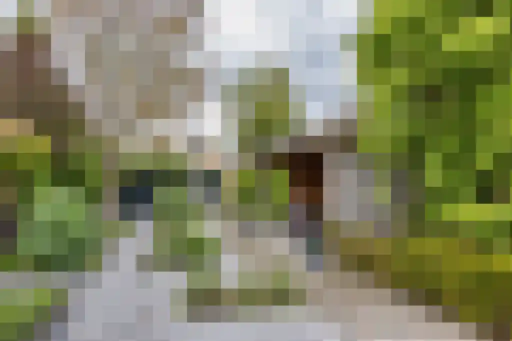 Zeskanter 16 Sneek thumbnail 42