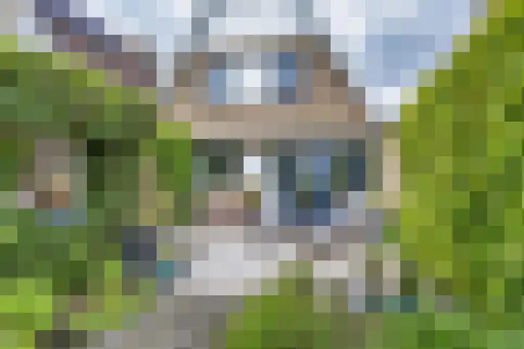Zeskanter 16 Sneek thumbnail 43