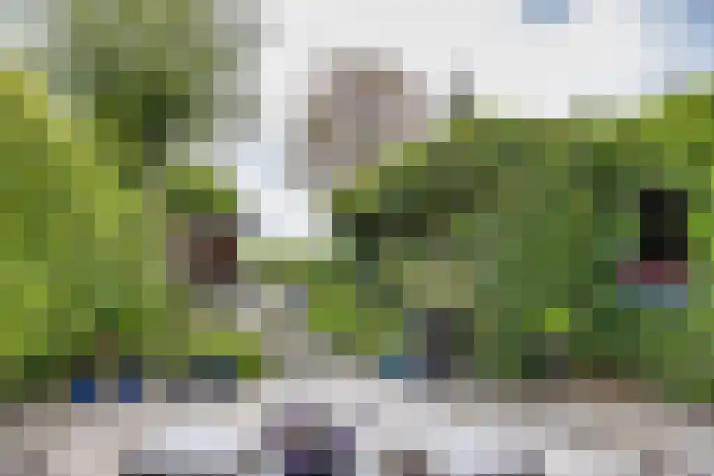 Zeskanter 16 Sneek thumbnail 45