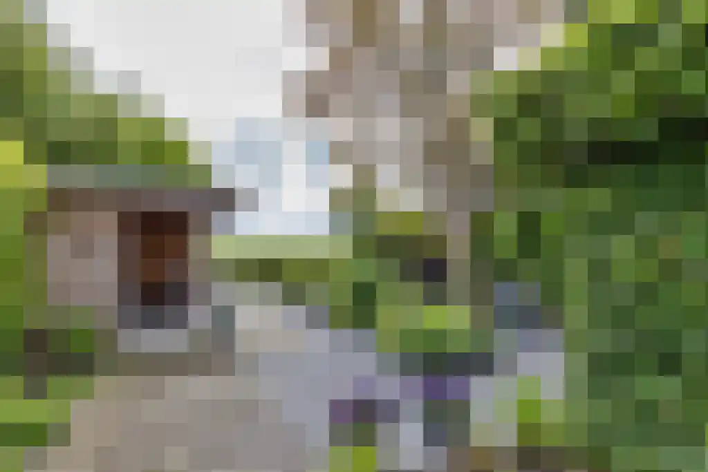Zeskanter 16 Sneek thumbnail 46
