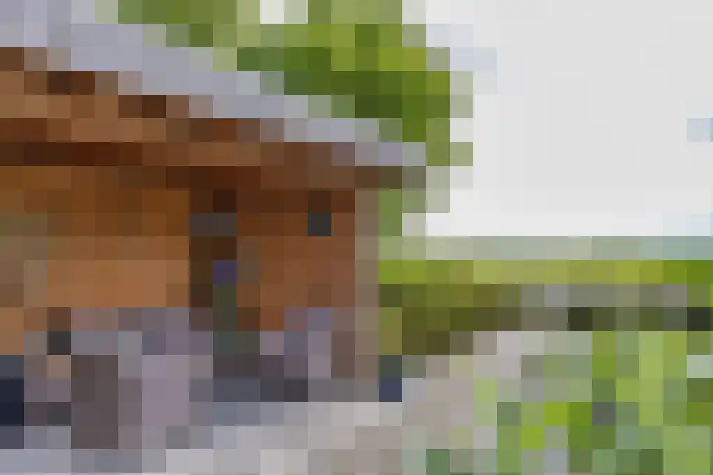 Zeskanter 16 Sneek thumbnail 47