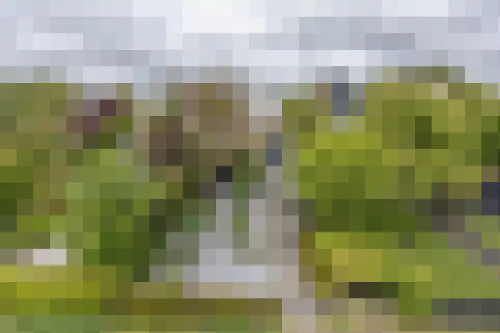 Zeskanter 16 Sneek thumbnail 5
